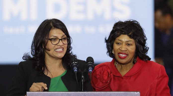 Rashida Tlaib, Brenda Jones