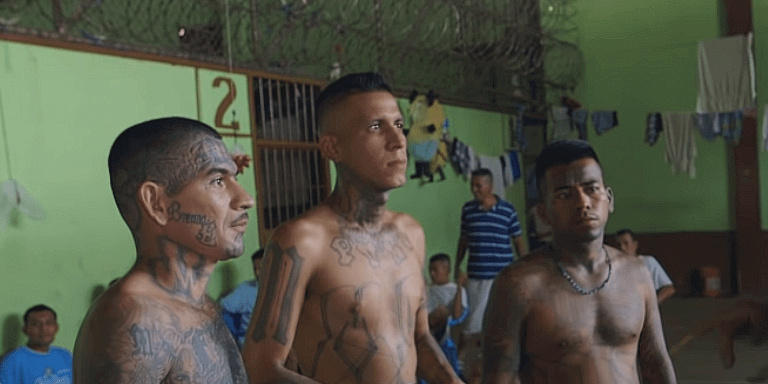 NCFIRE: 22 Illegal Aliens Charged w/ Almost 240 Sex Crimes Against Kids in June