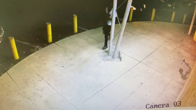 Parents of 8-Year-Old Atlanta Victim Seek Help Finding Killers
