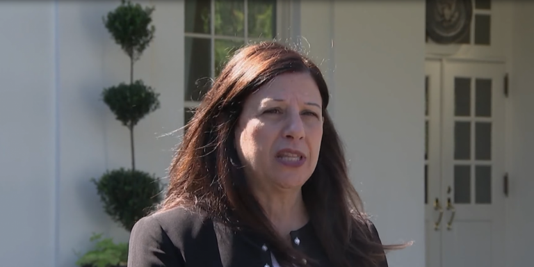 Former Acting DHS Chief Admits Sabotaging Trump’s DACA Policy
