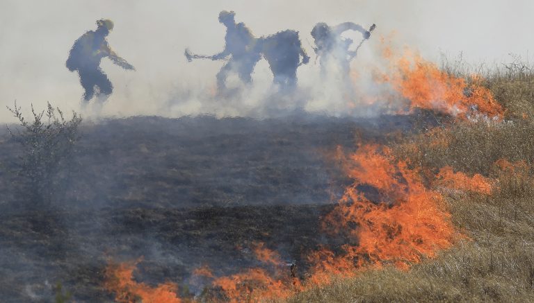 California to Cut Off Electricity to Prevent Forest Fires & Protect Marijuana Fields