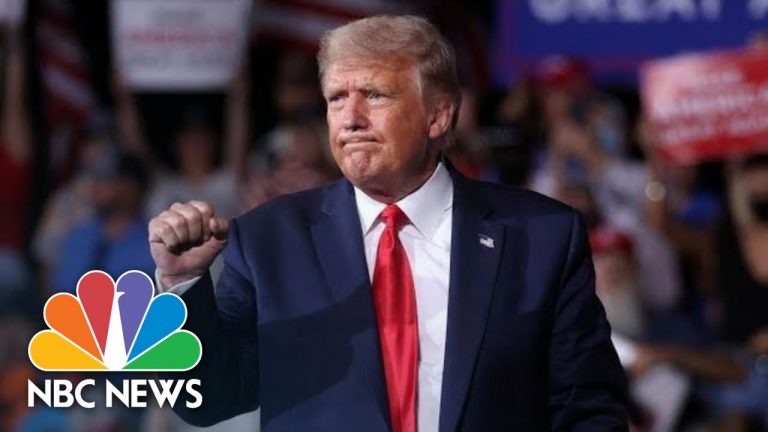 Trump Revels in Packed Mich. Crowd at Airport Rally