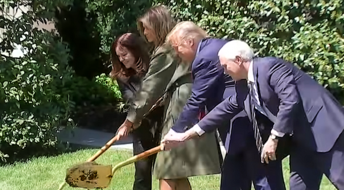 Trump tree planting