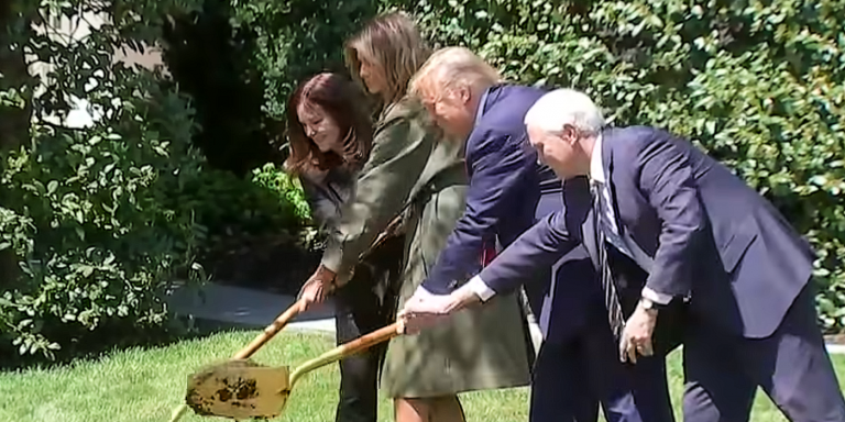 MURDOCK: Trump Sowed Historic, Booming Economy after Years of Obama–Biden Manure