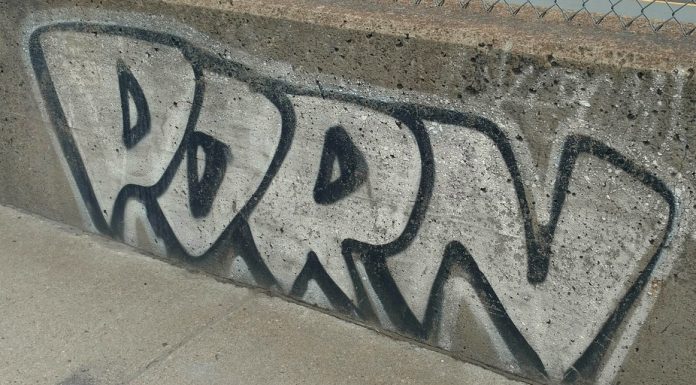 online pornography legislation