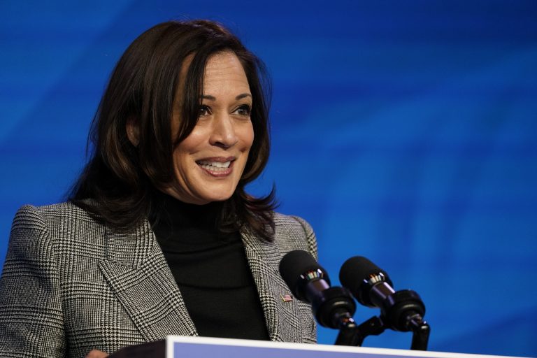 ‘Not Perfect’: Kamala Gives an Ultra-Cringy Response to Dreaded Job-Interview Question