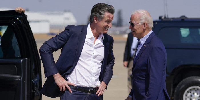 Newsom Admits Democrats Will Get 'Destroyed' in Midterms - Headline USA