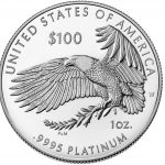 American Eagle Platinum