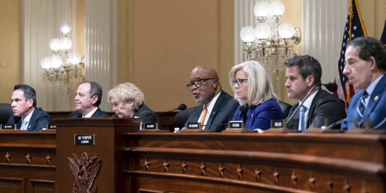 ‘You Are Hoes’: DOJ Lawyer Harmeet Dhillon Rudely Downplays J6 Statute of Limitations