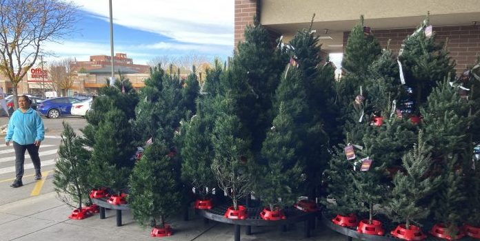 Christmas tree prices