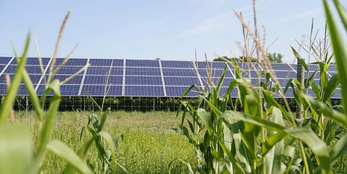 Community Solar panels