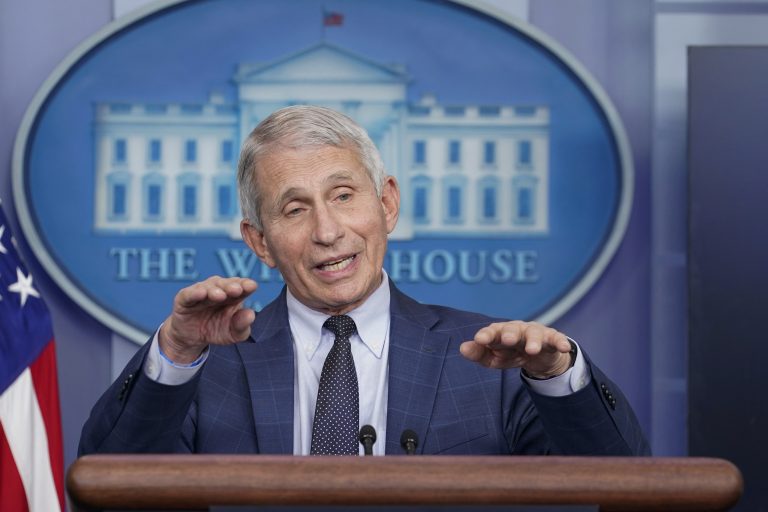 Tulsi Gabbard Dumps Fauci Docs on Her Last Day as Nat’l Intelligence Director