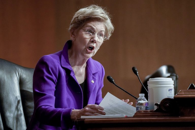 Elizabeth Warren Grifts on LA Fires to Solicit Campaign Donations