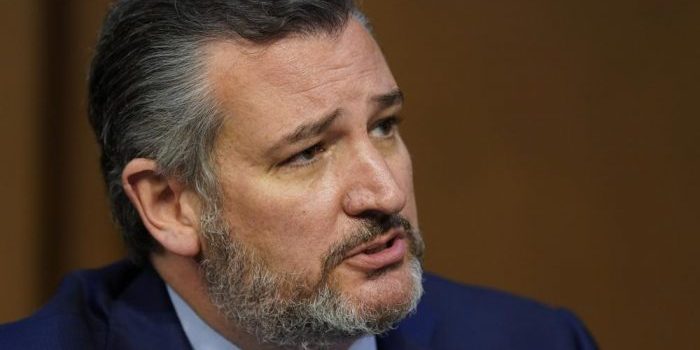 Cruz Blasts MSNBC’s Katy Tur for Being the ‘PR Arm of Hezbollah’