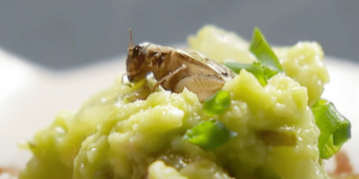 Et Tu, Brute? Cracker Barrel's Menu Goes Woke | Headline USA