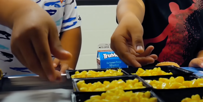 school lunches transgender