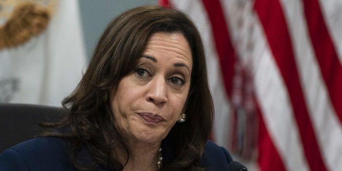 Dems Up in Arms After Kamala Dubbed First 'DEI President' | Headline USA