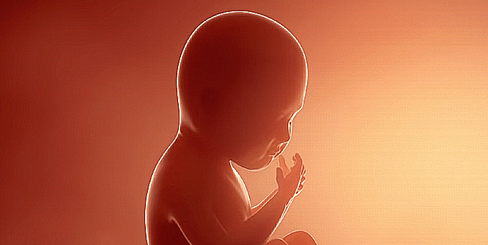 baby fetus