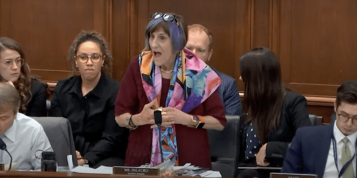 Color-Haired Dem Loses It After Musk Exposes Secret Wishlist in CR Bill