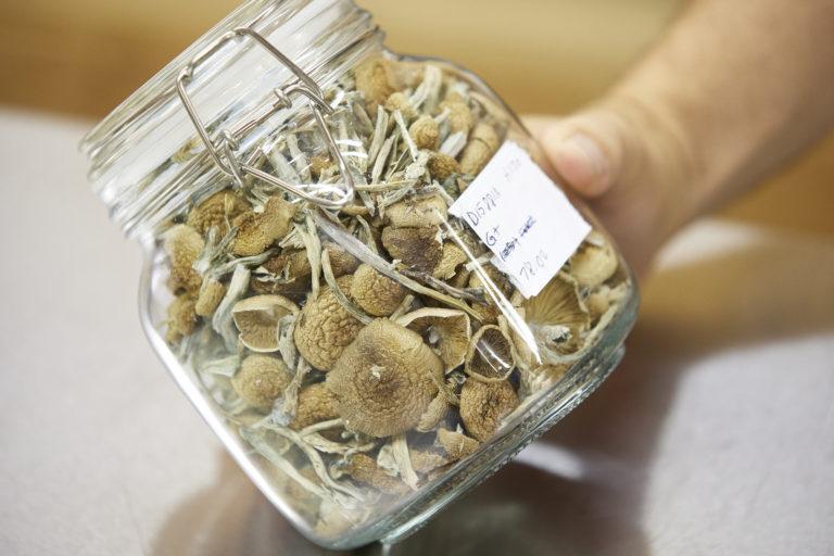 Canadian Mass Shooter ‘Went Crazy’ after Taking Shrooms