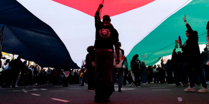 Palestine activists