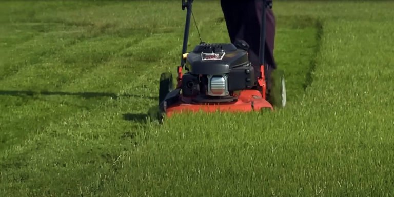 Wash. State Dems Seek to Jail Gas-Powered Lawnmower Users