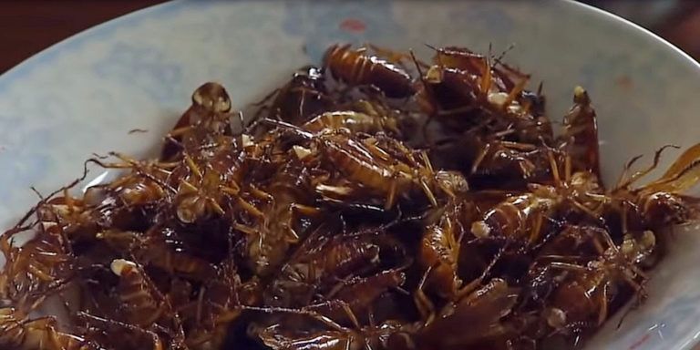 EBay to Pay $3M for Sending Live Spiders, Cockroaches to Mass. Couple