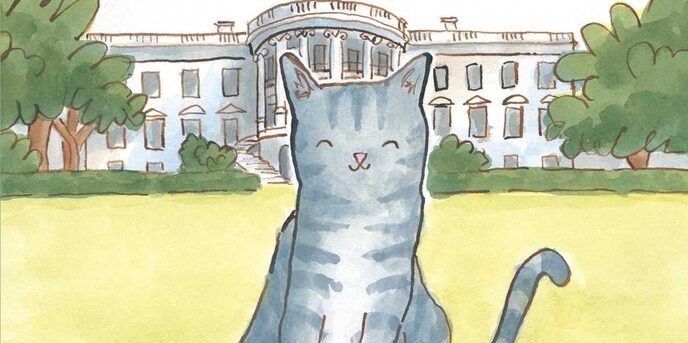 'Willow the White House Cat'