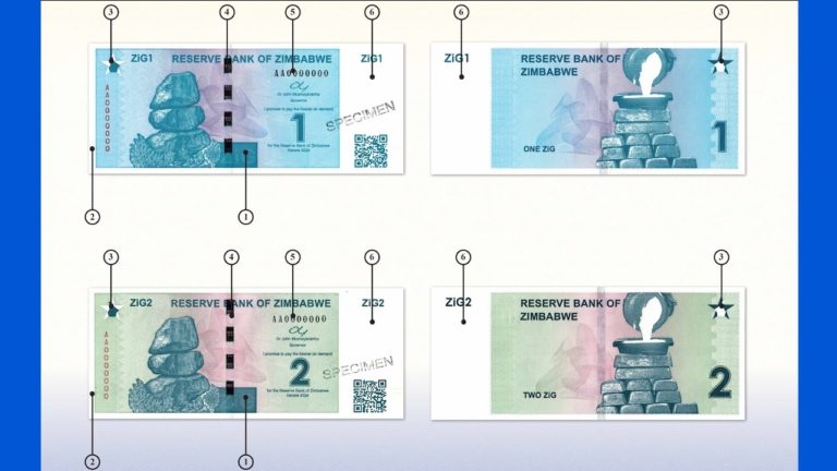 Zimbabwe Gets Gold-Backed Currency, But It Won’t Solve Root Issue