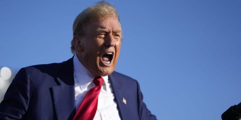 Buckle Up: Unveiling Trump’s Plan to Deport 20 Million Illegal Aliens