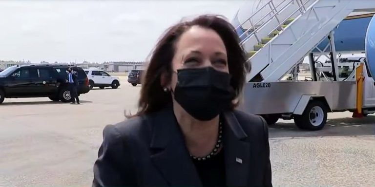 After Bibi Debacle, Harris Pitches Herself to Michigan’s Muslim Population