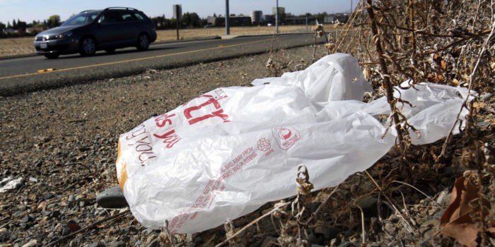 Plastic Bag Ban