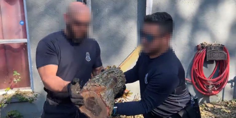 Gov’t Incompetence on Display w/ Border Patrol Video of 14 Agents Passing 1 Log
