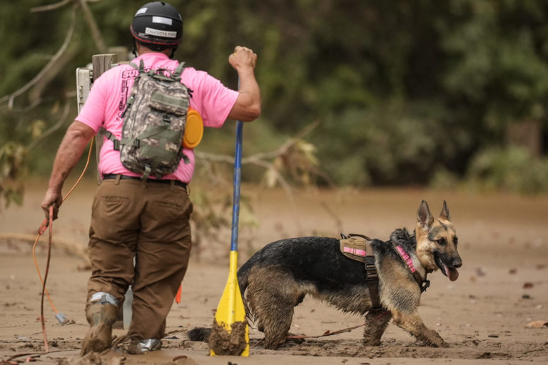 Death Toll Surpasses 160 as Helene Cleanup Continues w/ Cadaver Dogs