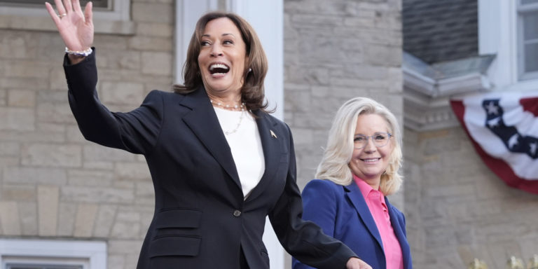 Kamala Plagiarizes Trump’s ‘Unity’ Government in Latest Copy/Paste Stunt