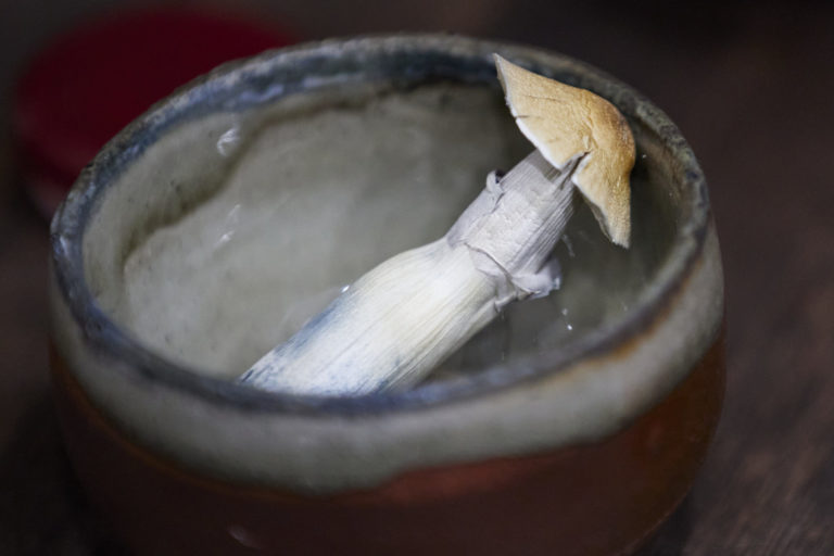 Oregon Voters Ban Psychedelic Mushrooms in Several Cities