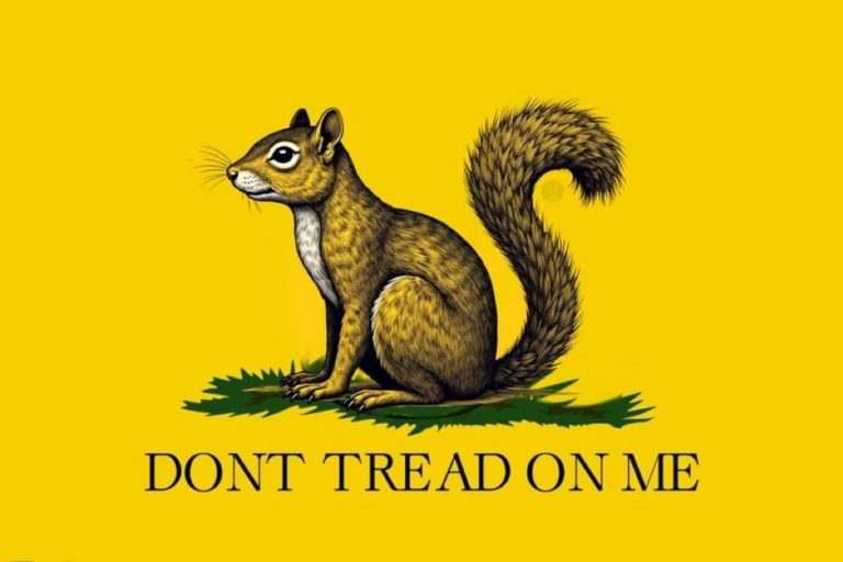 Inside the Investigation, Seizure and Death of Peanut the Social Media Star Squirrel