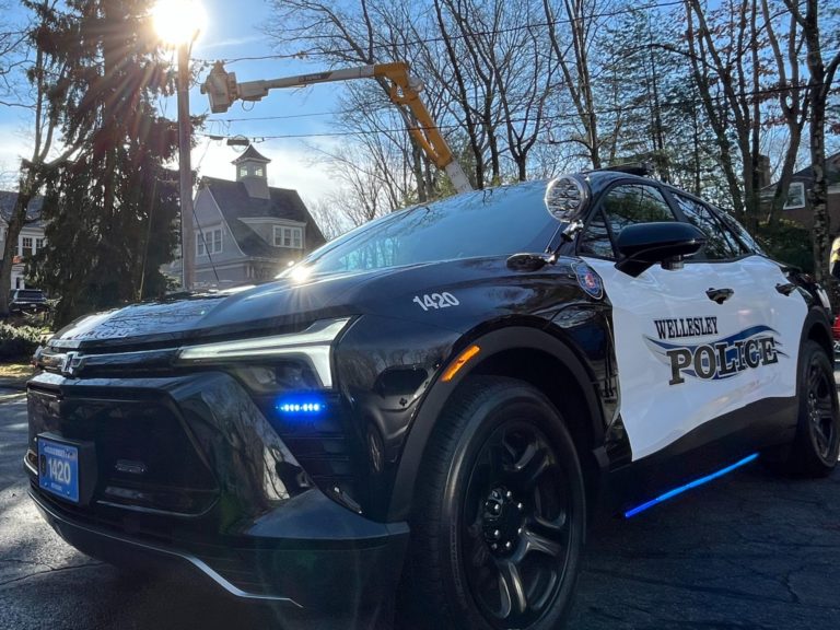 Hit-and-Run Driver Crashes into a Birthday Party, Injuring 9 Kids in Maryland
