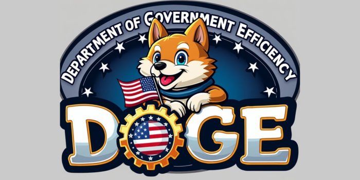 Department of Government Efficiency