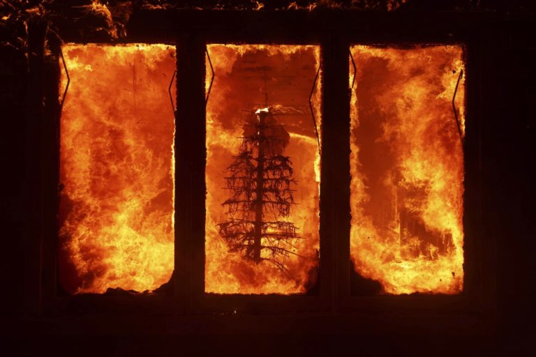 Alleged Palisades Arsonist Was a Biden Voter