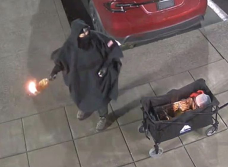 Another Trans Terrorist Tries Torching Tesla