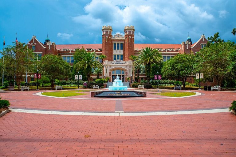 Fifth Circuit Upholds Texas Instate Tuition Ban for Illegal Foreign National Students