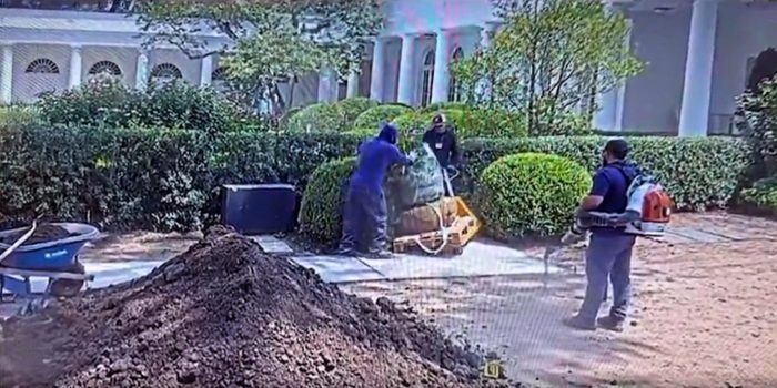 Rose Garden renovations