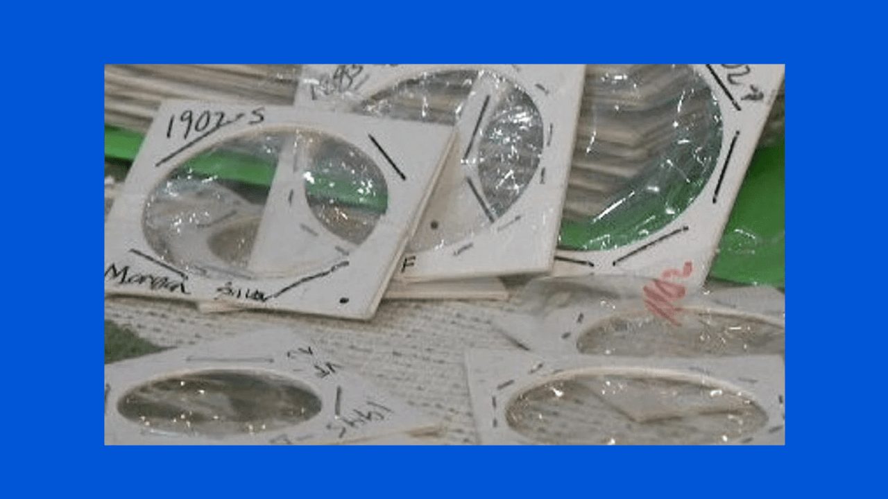 Man Learns Not to Pack Silver Coins in Checked Bag the Hard Way