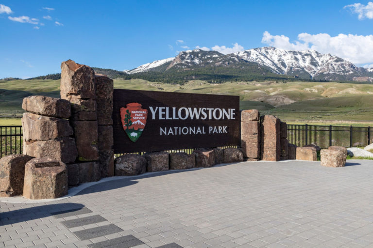 Bear Attack Injures Two Hikers in Yellowstone National Park