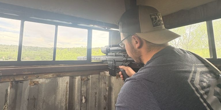Did NBC News Just Libel Kyle Rittenhouse over Spider-Bite Story?